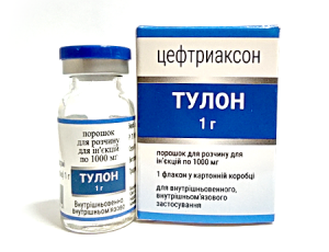 Тулон